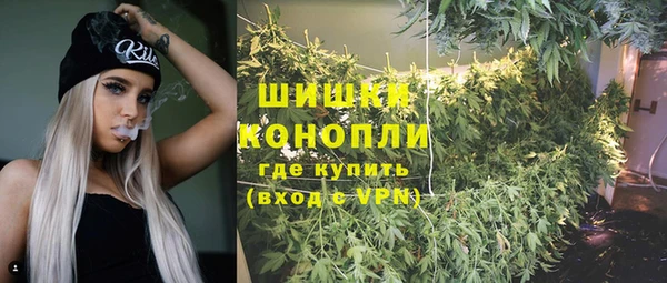 мет Елабуга