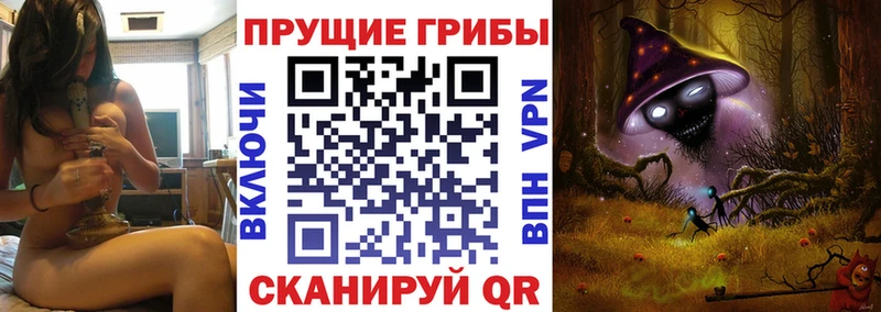 Псилоцибиновые грибы MAGIC MUSHROOMS  где продают   Похвистнево 